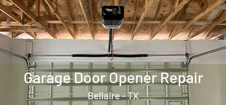  Garage Door Opener Repair Bellaire - TX